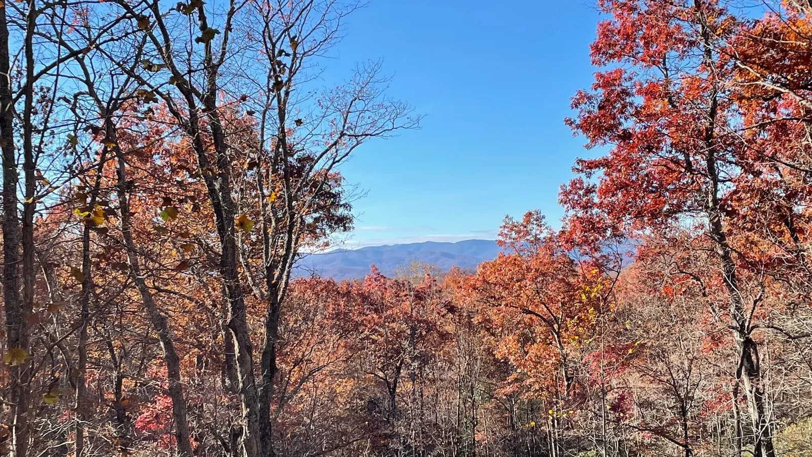 Autumn mountain view from Whispering Trees Loft